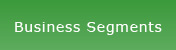 Business Segments